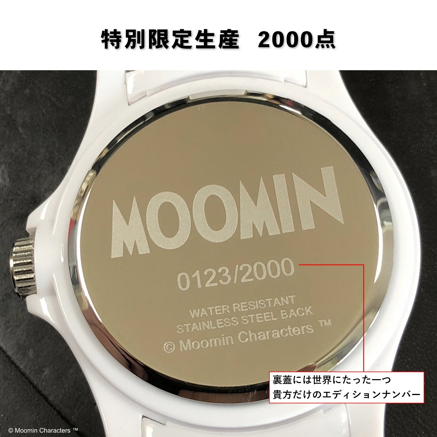 ムーミンキャラクターズ腕時計 エレガンスハイブリット